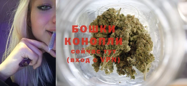 каннабис Богданович