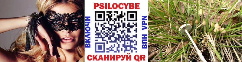 Псилоцибиновые грибы мухоморы  закладка  Горнозаводск 